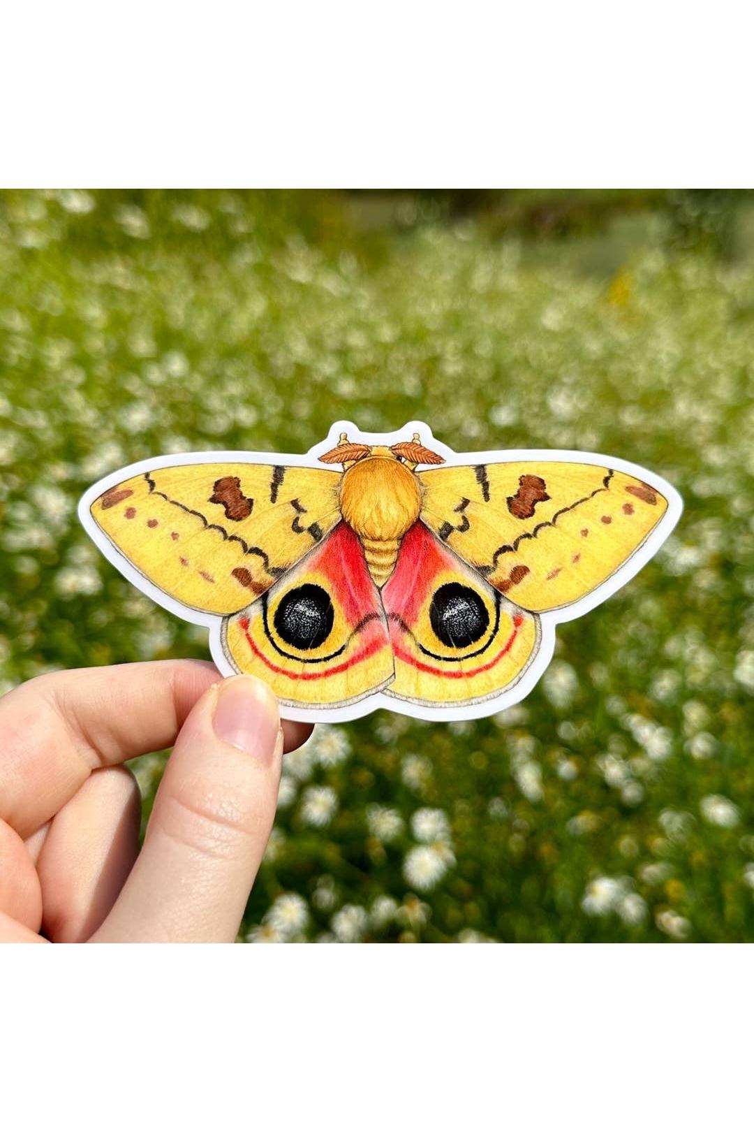 Male Io Moth Sticker