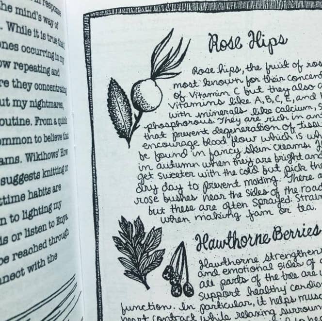 Mettanoia Zine #5: Mental Health & Self-Care Strategies
