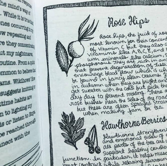 Mettanoia Zine #5: Mental Health & Self-Care Strategies