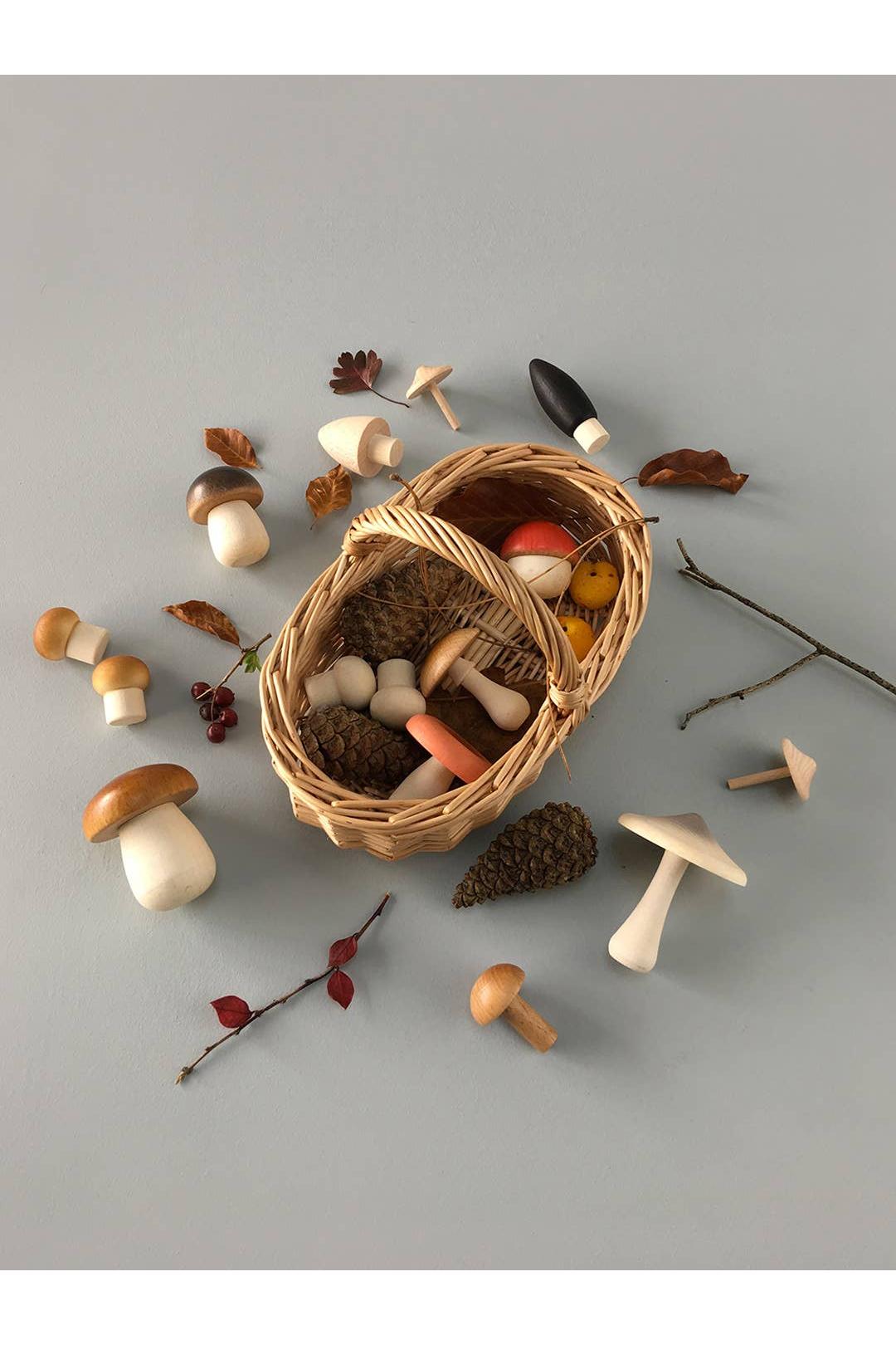 Forest Mushrooms Basket
