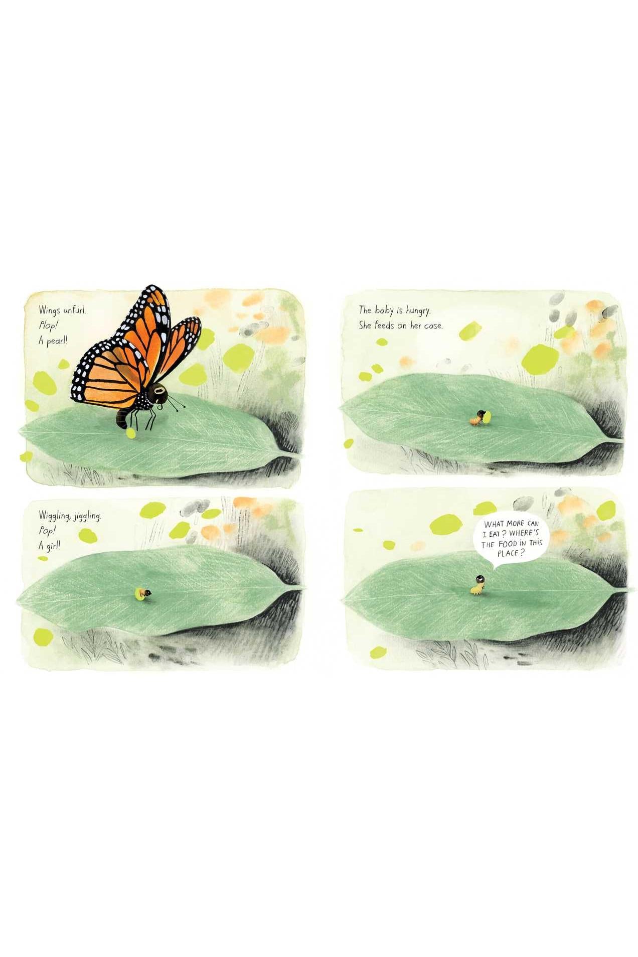 Monarch
