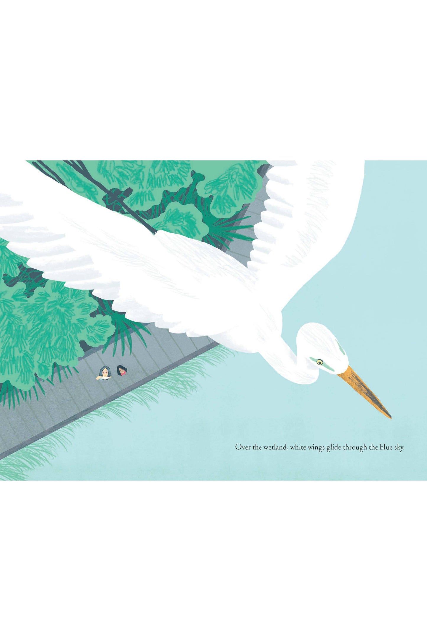 Over and Under the Wetland