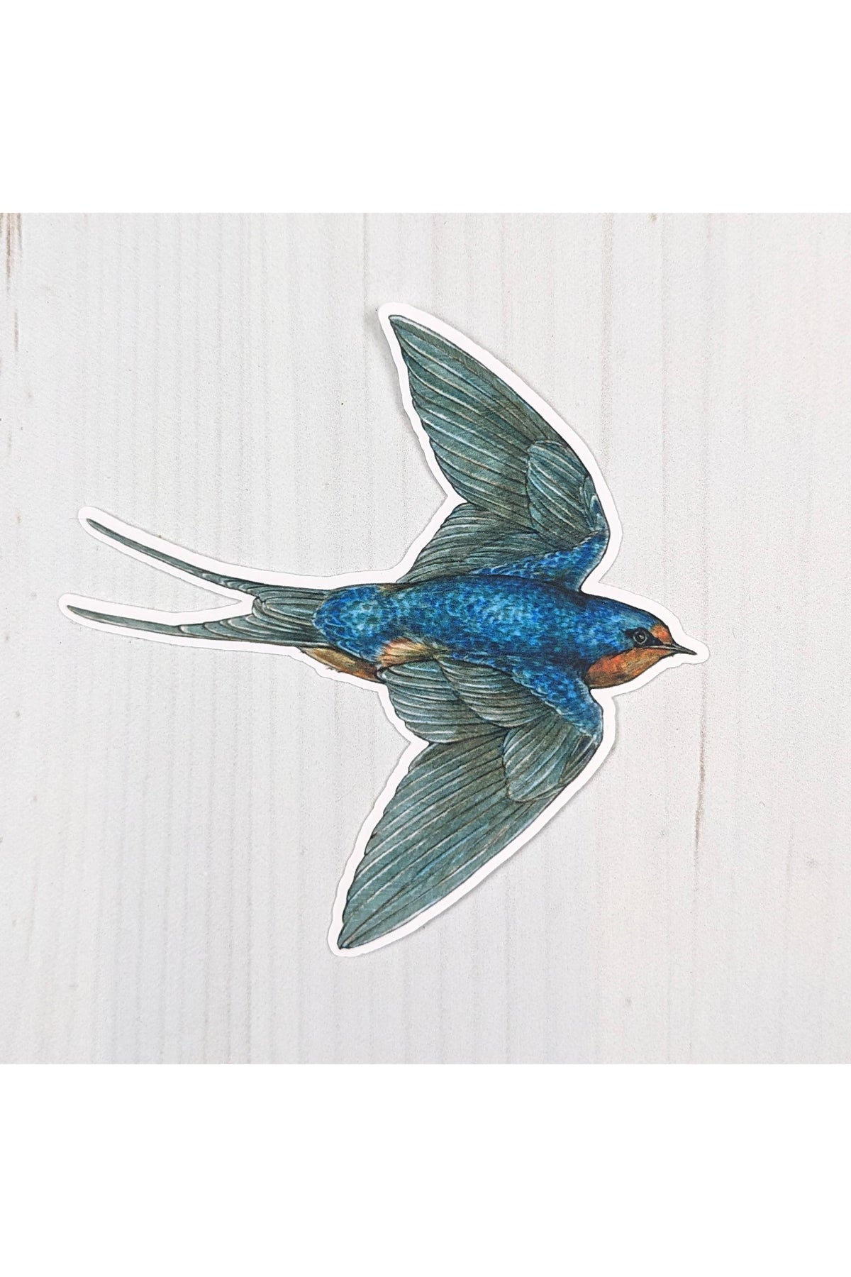 Barn Swallow Sticker