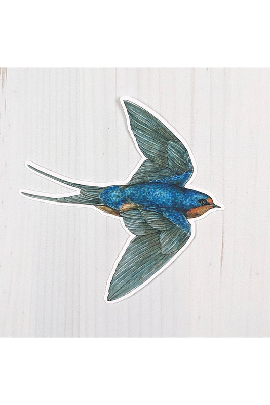 Barn Swallow Sticker