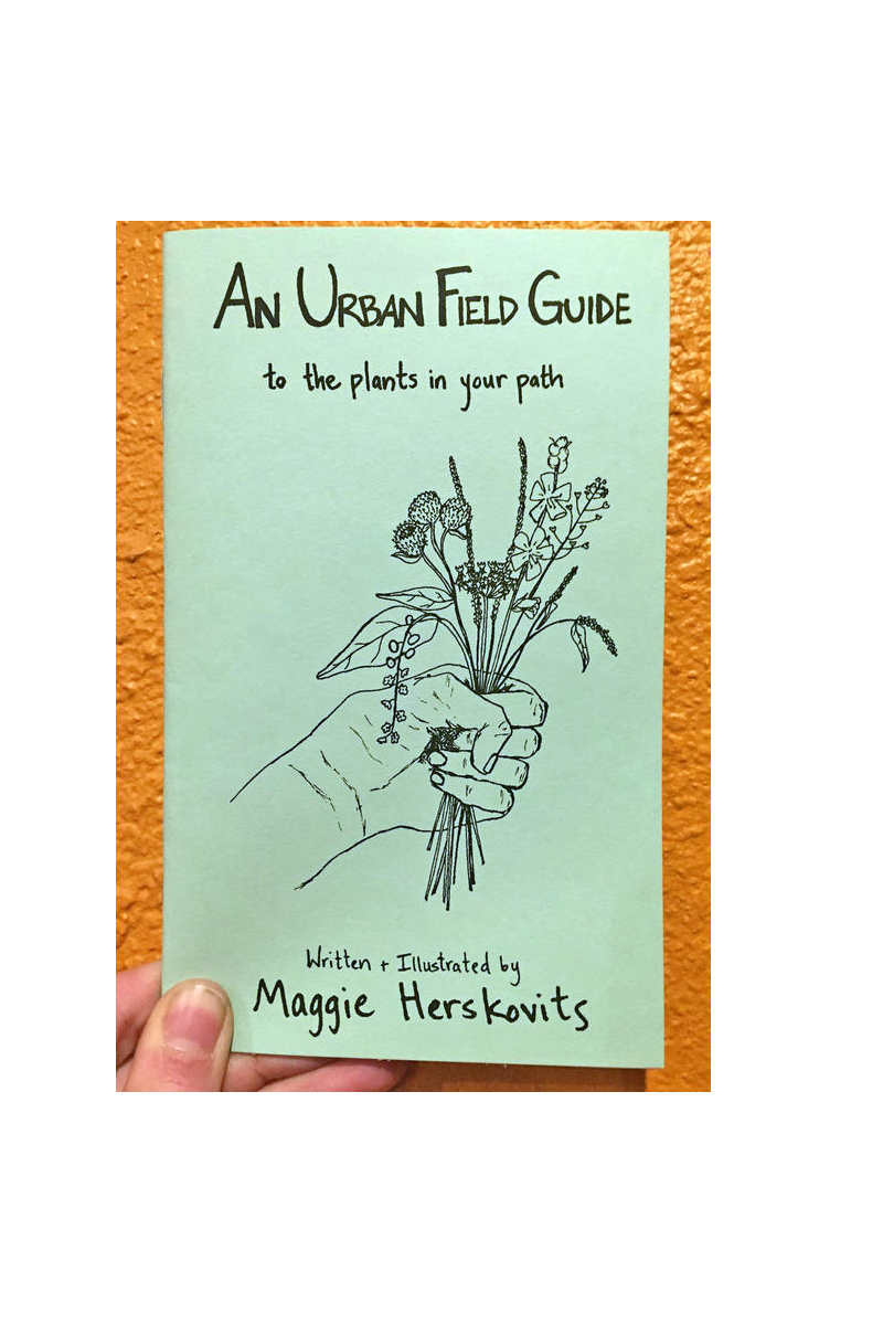 Urban Field Guide to the Plants in Your Path (Zine)
