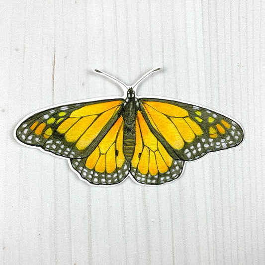 Monarch Butterfly Sticker